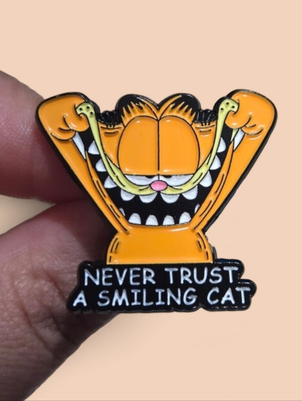 Garfield Enamel Pin - Never Trust a Smiling Cat